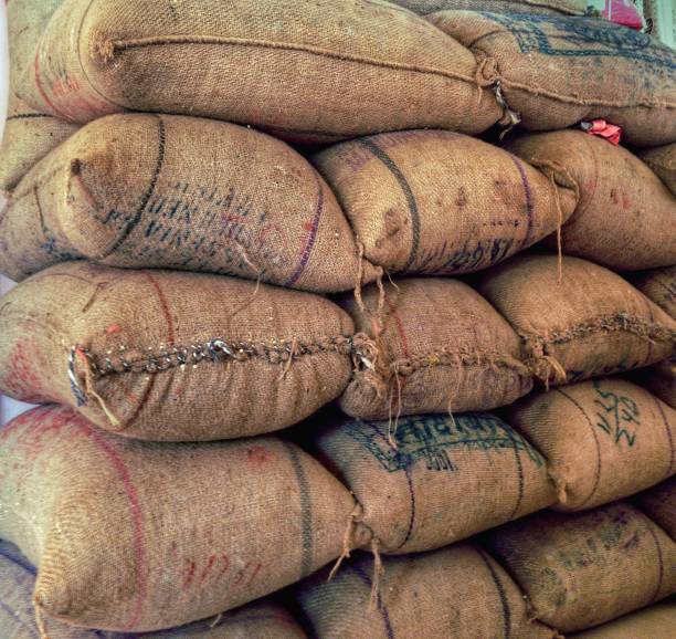 The Matel International - WhatsApp Image 2025-09-29 at 10.23.48 AM